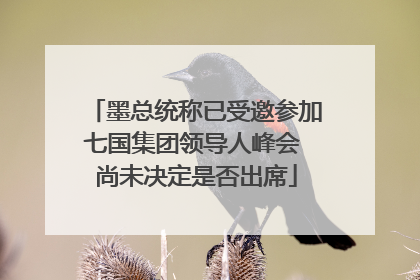 墨总统称已受邀参加七国集团领导人峰会 尚未决定是否出席