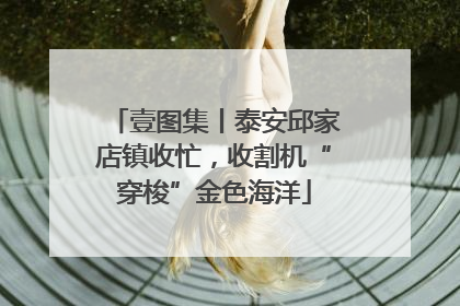 壹图集丨泰安邱家店镇收忙，收割机“穿梭”金色海洋