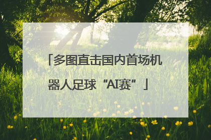 多图直击国内首场机器人足球“AI赛”