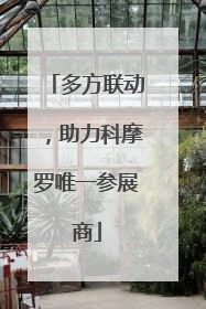 多方联动，助力科摩罗唯一参展商