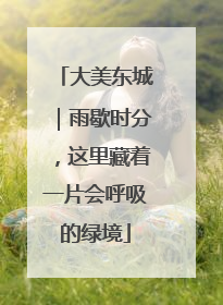 大美东城｜雨歇时分，这里藏着一片会呼吸的绿境