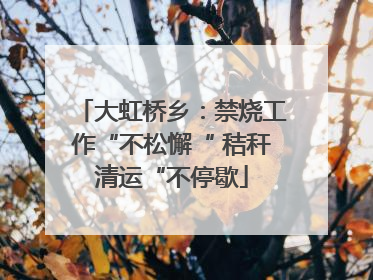 大虹桥乡：禁烧工作“不松懈“ 秸秆清运“不停歇