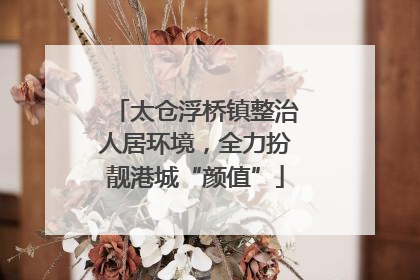 太仓浮桥镇整治人居环境，全力扮靓港城“颜值”