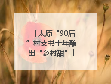 太原“90后”村支书十年酿出“乡村甜”