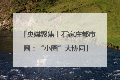 央媒聚焦丨石家庄都市圈：“小圈”大协同
