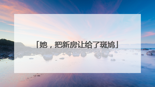 她，把新房让给了斑鸠