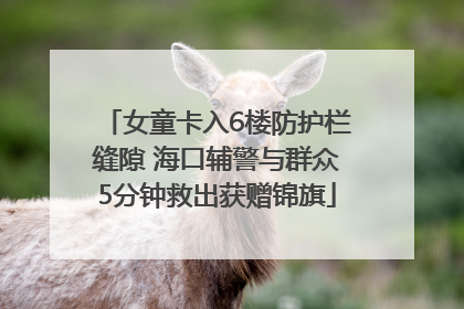 女童卡入6楼防护栏缝隙 海口辅警与群众5分钟救出获赠锦旗