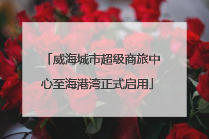 威海城市超级商旅中心至海港湾正式启用