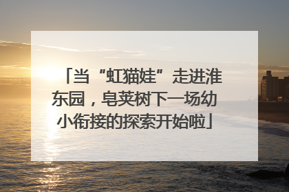 当“虹猫娃”走进淮东园，皂荚树下一场幼小衔接的探索开始啦