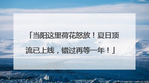 当阳这里荷花怒放！夏日顶流已上线，错过再等一年！