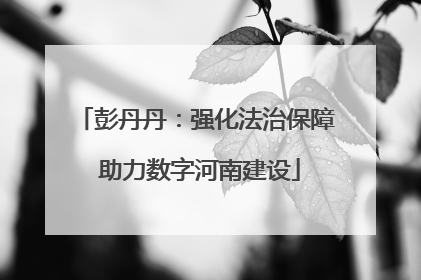 彭丹丹：强化法治保障 助力数字河南建设