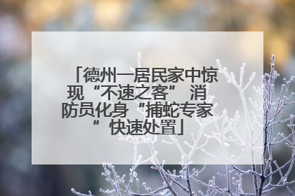 德州一居民家中惊现“不速之客” 消防员化身“捕蛇专家”快速处置