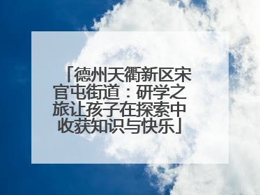 德州天衢新区宋官屯街道：研学之旅让孩子在探索中收获知识与快乐