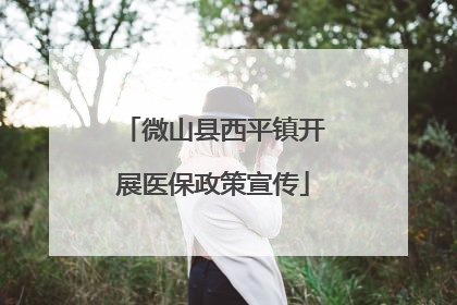 微山县西平镇开展医保政策宣传