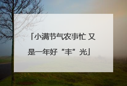 小满节气农事忙 又是一年好“丰”光
