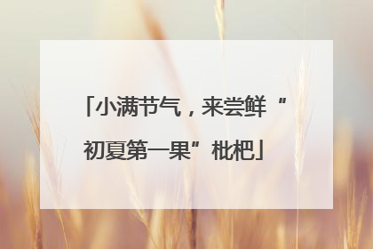小满节气，来尝鲜“初夏第一果”枇杷