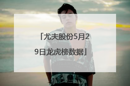 尤夫股份5月29日龙虎榜数据