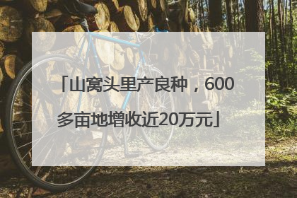 山窝头里产良种，600多亩地增收近20万元