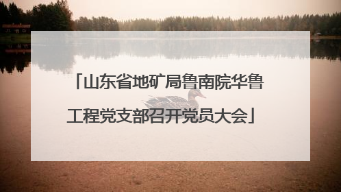山东省地矿局鲁南院华鲁工程党支部召开党员大会