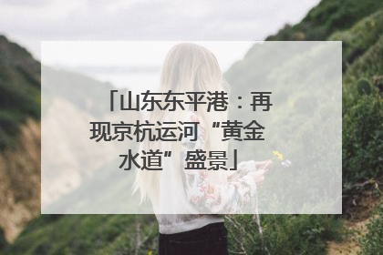 山东东平港：再现京杭运河“黄金水道”盛景