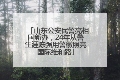 山东公安民警亮相国新办，24年从警生涯陈强用警徽照亮国际维和路