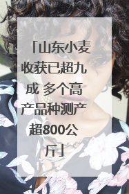 山东小麦收获已超九成 多个高产品种测产超800公斤