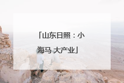 山东日照：小海马 大产业