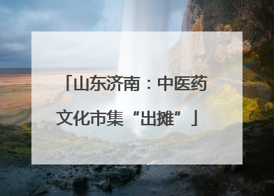 山东济南：中医药文化市集“出摊”