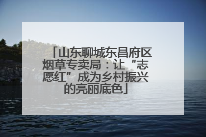 山东聊城东昌府区烟草专卖局：让“志愿红”成为乡村振兴的亮丽底色