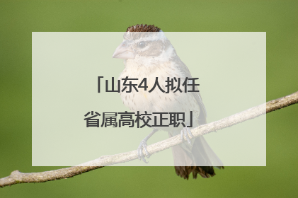 山东4人拟任省属高校正职