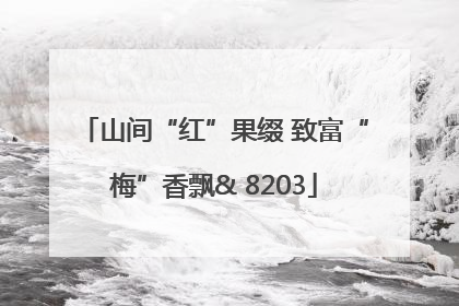 山间“红”果缀 致富“梅”香飘& 8203