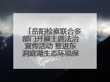 岳阳检察联合多部门开展主题法治宣传活动 推进东洞庭湖生态环境保护工作
