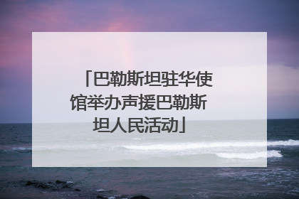 巴勒斯坦驻华使馆举办声援巴勒斯坦人民活动