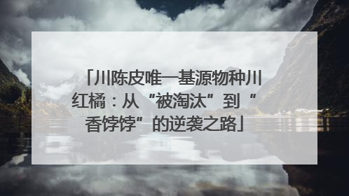 川陈皮唯一基源物种川红橘：从“被淘汰”到“香饽饽”的逆袭之路