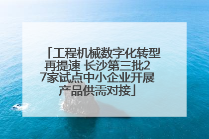 工程机械数字化转型再提速 长沙第三批27家试点中小企业开展产品供需对接