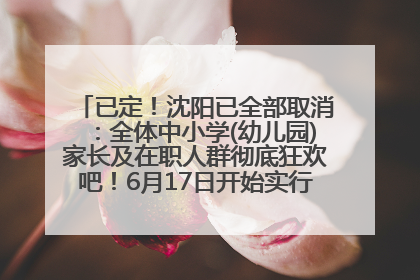 已定！沈阳已全部取消：全体中小学(幼儿园)家长及在职人群彻底狂欢吧！6月17日开始实行！18岁及以上可参加25年学历提升报名！