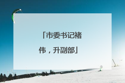 市委书记褚伟，升副部