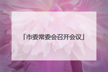 市委常委会召开会议