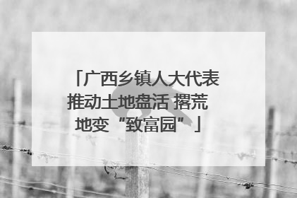 广西乡镇人大代表推动土地盘活 撂荒地变“致富园”
