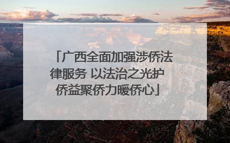 广西全面加强涉侨法律服务 以法治之光护侨益聚侨力暖侨心