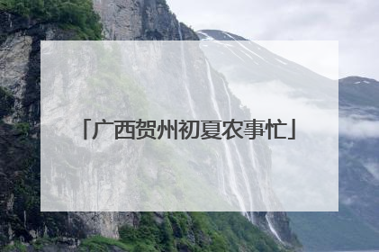 广西贺州初夏农事忙