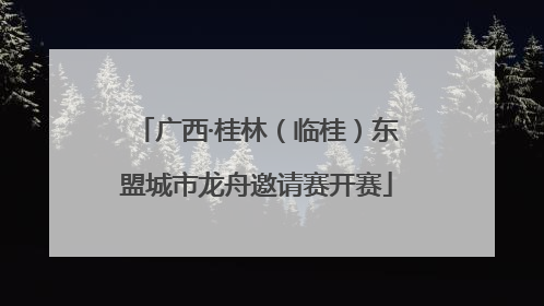 广西·桂林（临桂）东盟城市龙舟邀请赛开赛