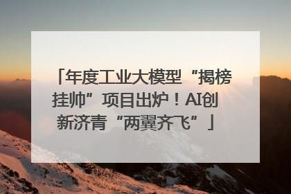 年度工业大模型“揭榜挂帅”项目出炉！AI创新济青“两翼齐飞”