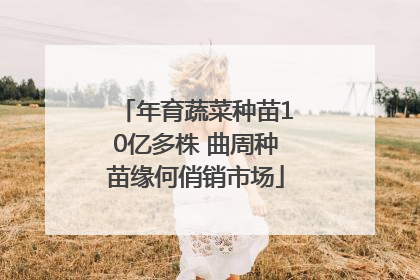 年育蔬菜种苗10亿多株 曲周种苗缘何俏销市场
