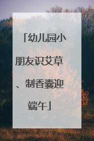 幼儿园小朋友识艾草、制香囊迎端午