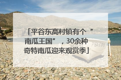 平谷东高村镇有个“南瓜王国”，30余种奇特南瓜迎来观赏季