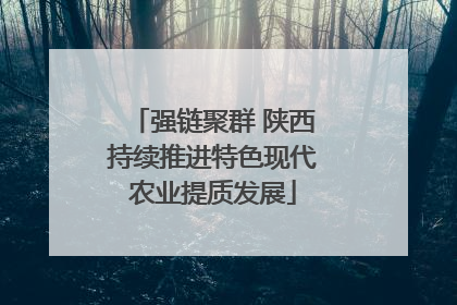 强链聚群 陕西持续推进特色现代农业提质发展