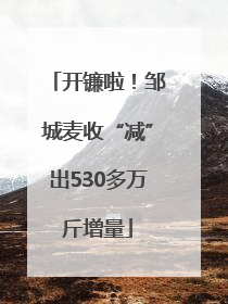 开镰啦！邹城麦收“减”出530多万斤增量