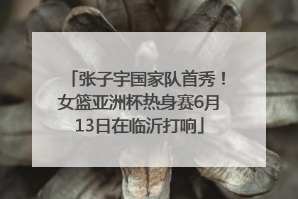 张子宇国家队首秀！女篮亚洲杯热身赛6月13日在临沂打响