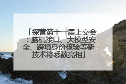 探营第十一届上交会：脑机接口、大模型安全、跨境身份核验等新技术将悉数亮相